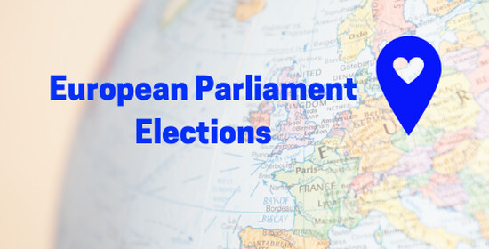 European Parliament Elections – What do parties in the Czech Republic say about integration?